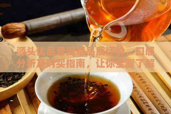 源头优品普洱茶品质评价、口感分析及购买指南，让你全面了解普洱茶的魅力