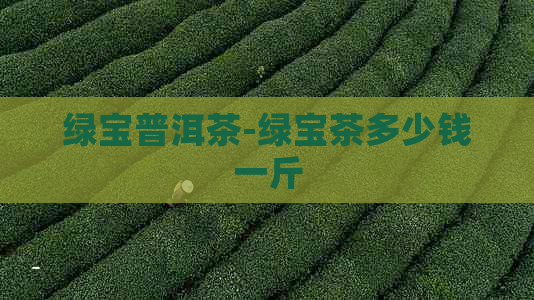 绿宝普洱茶-绿宝茶多少钱一斤