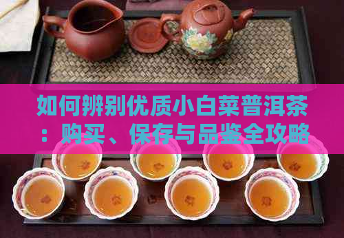 如何辨别优质小白菜普洱茶：购买、保存与品鉴全攻略