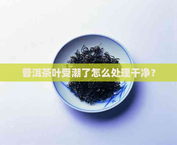 普洱茶叶受潮了怎么处理干净？