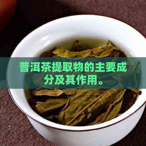 普洱茶提取物的主要成分及其作用。