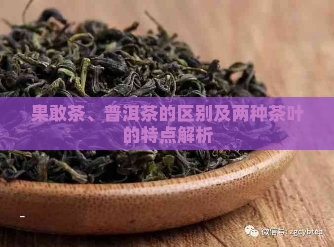 果敢茶、普洱茶的区别及两种茶叶的特点解析
