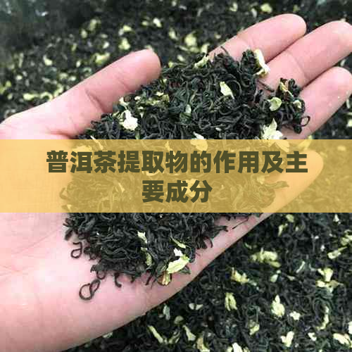 普洱茶提取物的作用及主要成分