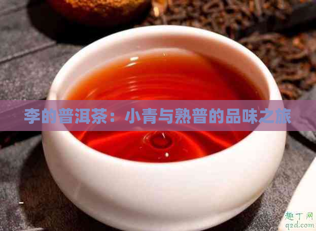 李的普洱茶：小青与熟普的品味之旅