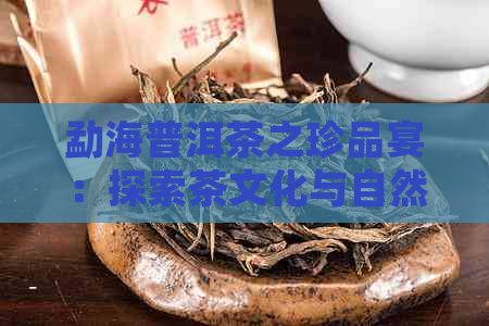 勐海普洱茶之珍品宴：探索茶文化与自然馈赠的完美结合