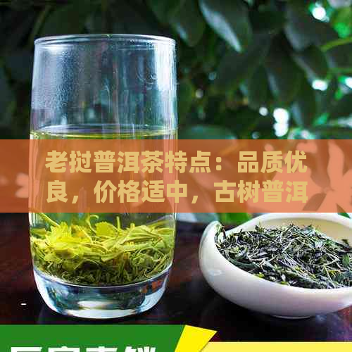 老挝普洱茶特点：品质优良，价格适中，古树普洱茶每斤数百元。