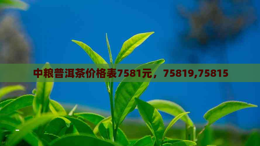 中粮普洱茶价格表7581元，75819,75815