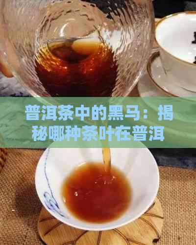 普洱茶中的黑马：揭秘哪种茶叶在普洱茶中独领     ？