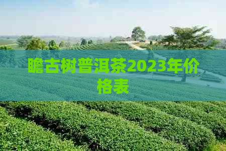 瞻古树普洱茶2023年价格表