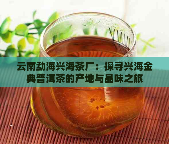 云南勐海兴海茶厂：探寻兴海金典普洱茶的产地与品味之旅