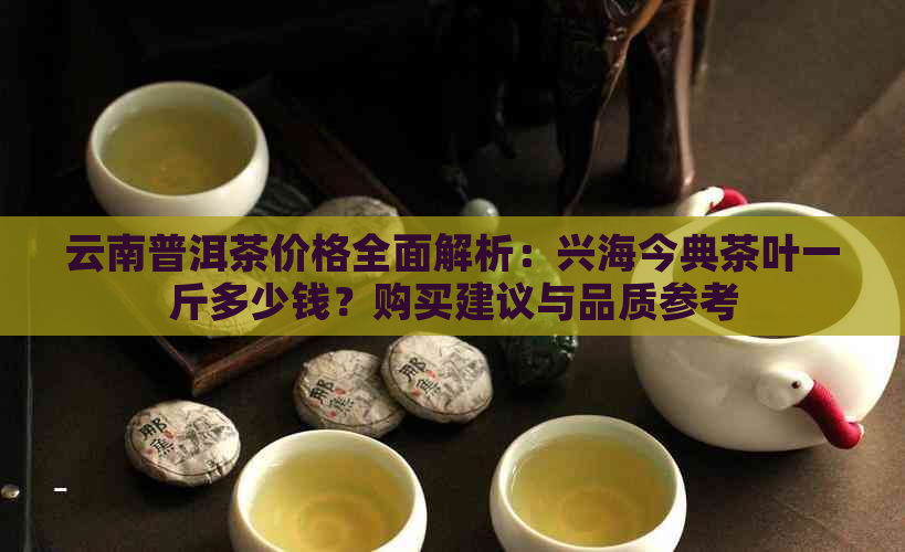 云南普洱茶价格全面解析：兴海今典茶叶一斤多少钱？购买建议与品质参考
