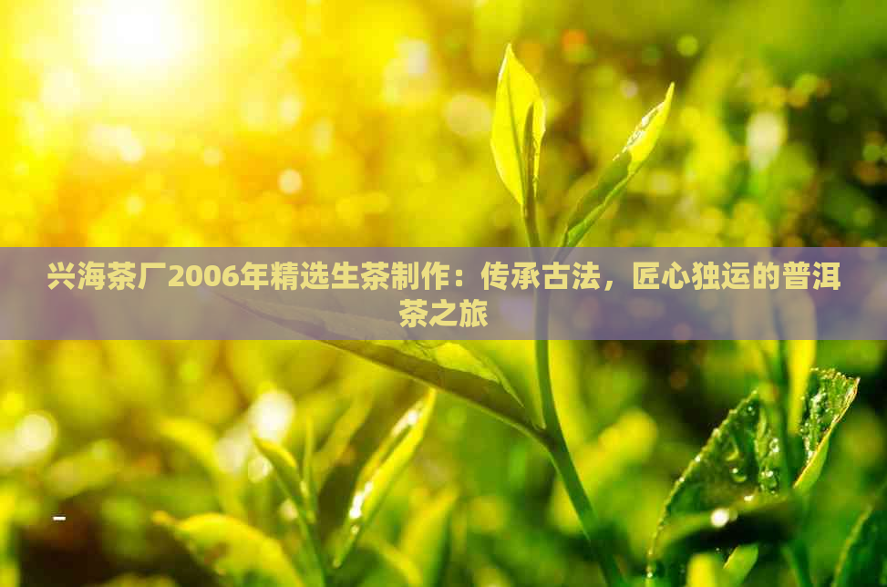 兴海茶厂2006年精选生茶制作：传承古法，匠心独运的普洱茶之旅