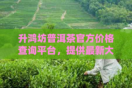 升鸿坊普洱茶官方价格查询平台，提供最新大益行情分析与报价一览