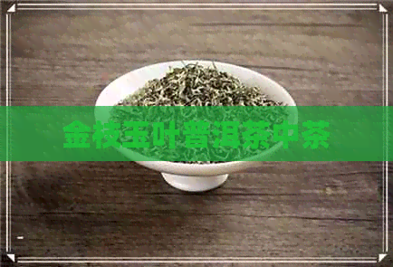 金枝玉叶普洱茶中茶