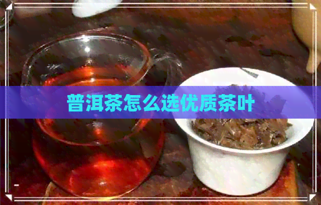 普洱茶怎么选优质茶叶