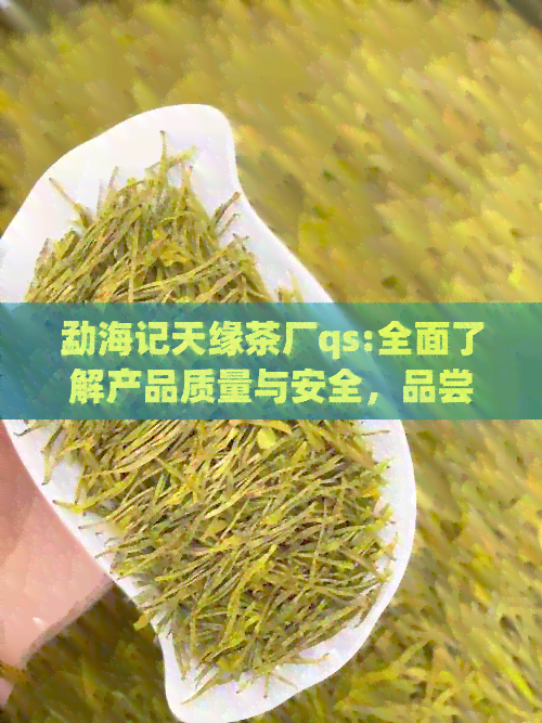 勐海记天缘茶厂qs:全面了解产品质量与安全，品尝正宗普洱茶的优质选择