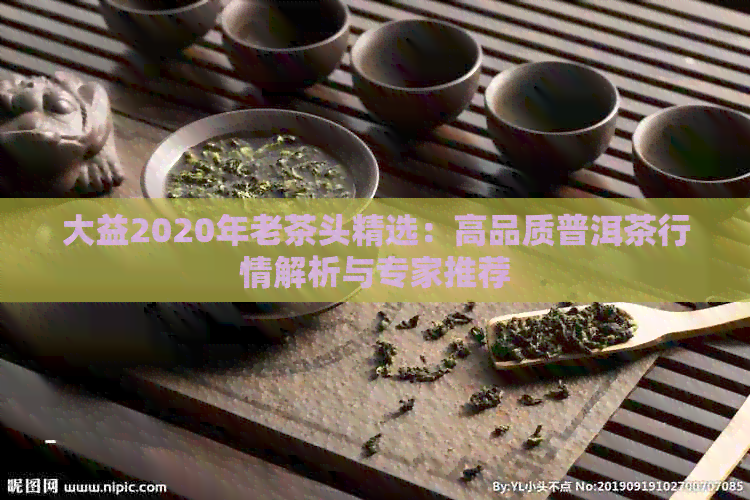 大益2020年老茶头精选：高品质普洱茶行情解析与专家推荐