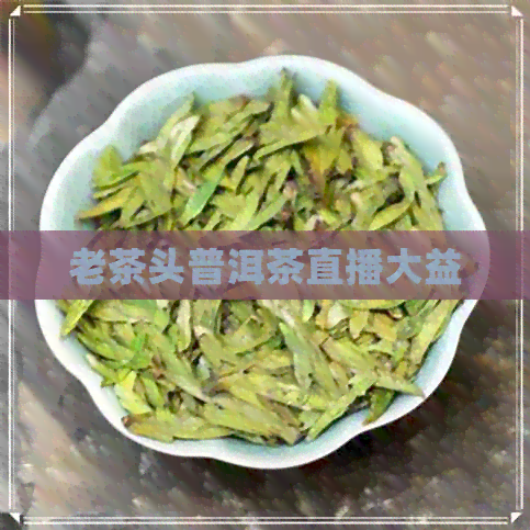 老茶头普洱茶直播大益