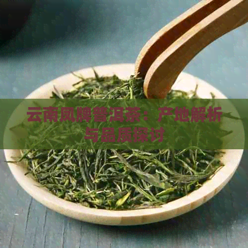 云南凤牌普洱茶：产地解析与品质探讨