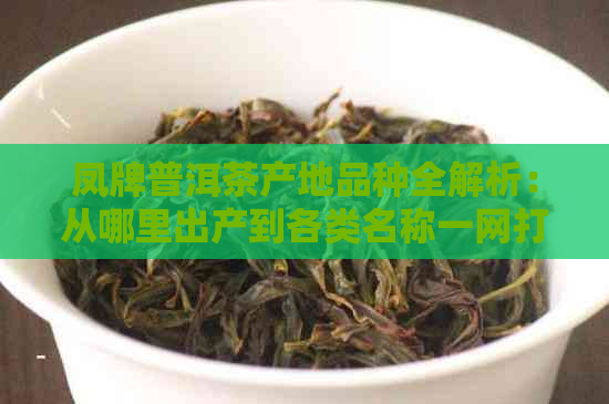 凤牌普洱茶产地品种全解析：从哪里出产到各类名称一网打尽