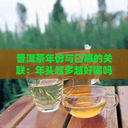 普洱茶年份与口感的关联：年头越多越好喝吗？