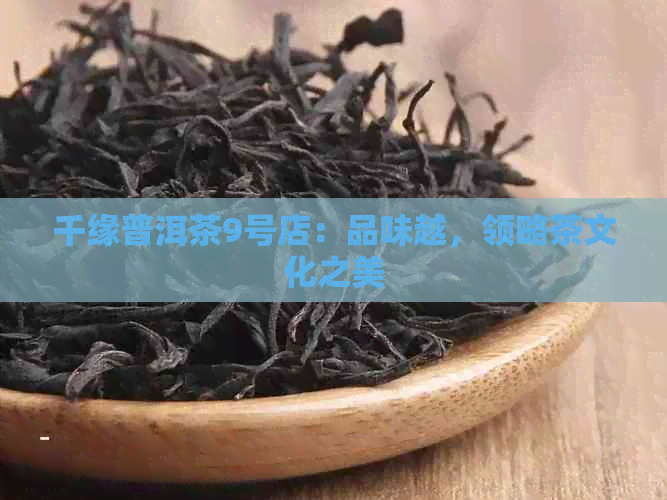 千缘普洱茶9号店：品味越，领略茶文化之美