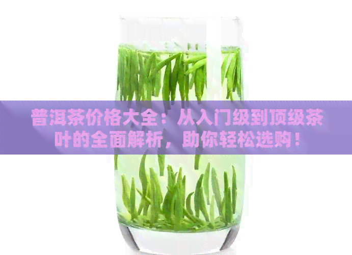 普洱茶价格大全：从入门级到顶级茶叶的全面解析，助你轻松选购！