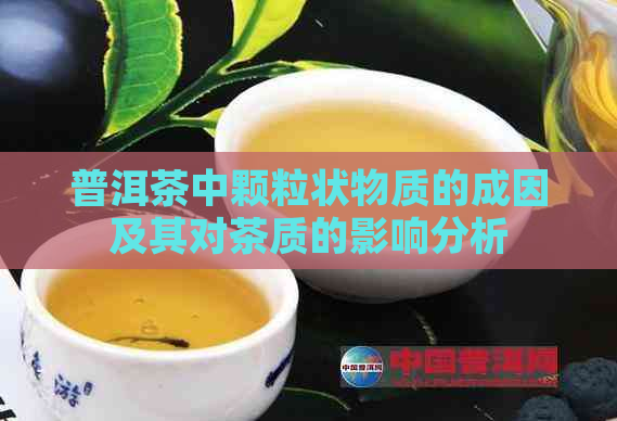 普洱茶中颗粒状物质的成因及其对茶质的影响分析