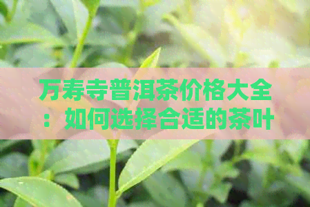 万寿寺普洱茶价格大全：如何选择合适的茶叶品种和购买途径？