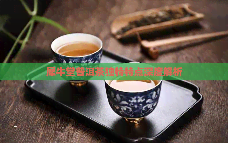 犀牛堂普洱茶独特特点深度解析