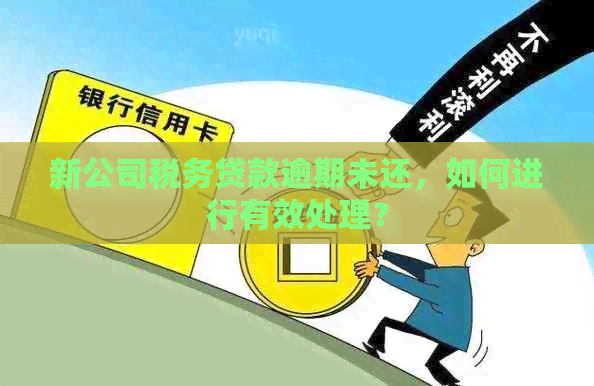 新公司税务贷款逾期未还，如何进行有效处理？