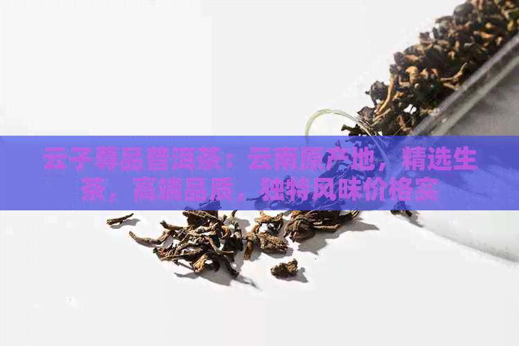 云子尊品普洱茶：云南原产地，精选生茶，高端品质，独特风味价格实