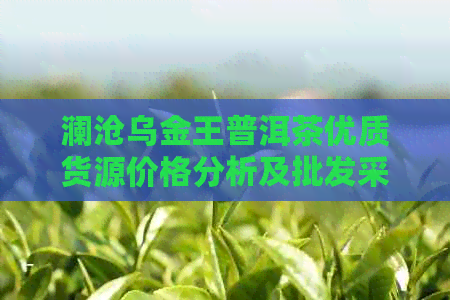 澜沧乌金王普洱茶优质货源价格分析及批发采购指南