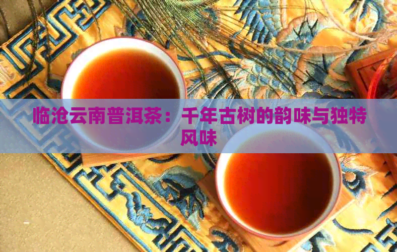 临沧云南普洱茶：千年古树的韵味与独特风味