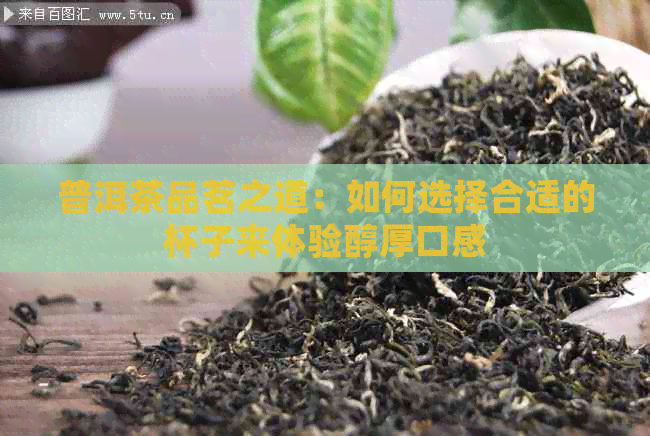 普洱茶品茗之道：如何选择合适的杯子来体验醇厚口感