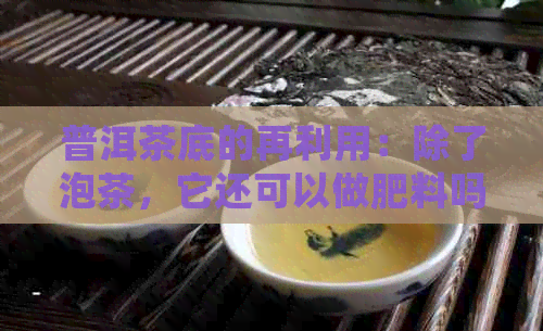 普洱茶底的再利用：除了泡茶，它还可以做肥料吗？