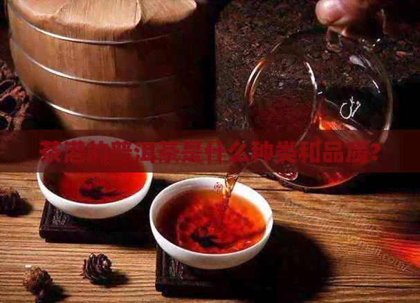 茶港的普洱茶是什么种类和品质？