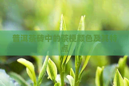 普洱茶砖中的茶梗颜色及其特点