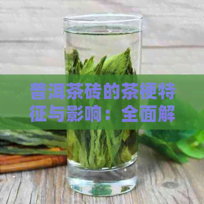 普洱茶砖的茶梗特征与影响：全面解析茶文化的细节