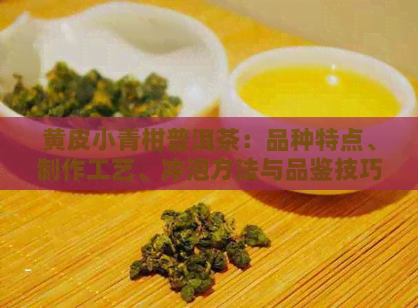 黄皮小青柑普洱茶：品种特点、制作工艺、冲泡方法与品鉴技巧全面解析