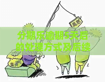 逾期5天后的处理方式及后续使用问题，用户必备解答