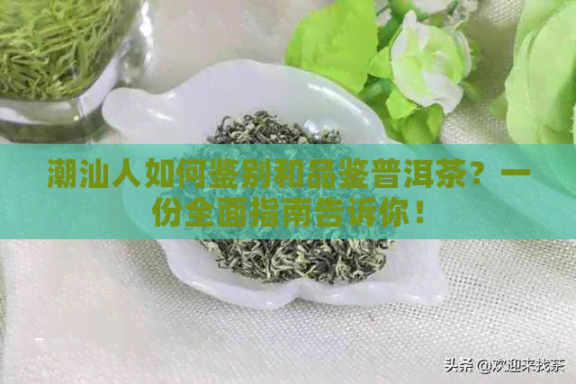 潮汕人如何鉴别和品鉴普洱茶？一份全面指南告诉你！