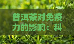 普洱茶对免疫力的影响：科学证据与可能的健益处