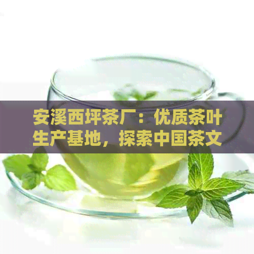 安溪西坪茶厂：优质茶叶生产基地，探索中国茶文化之美