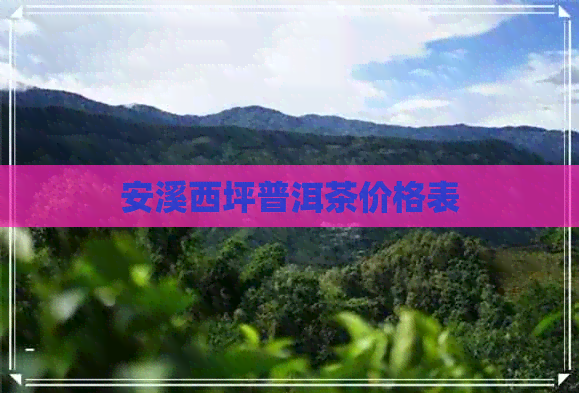 安溪西坪普洱茶价格表