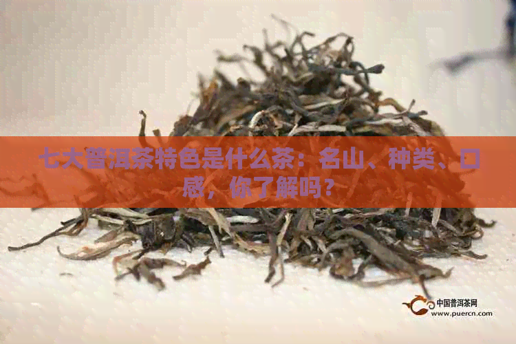 七大普洱茶特色是什么茶：名山、种类、口感，你了解吗？