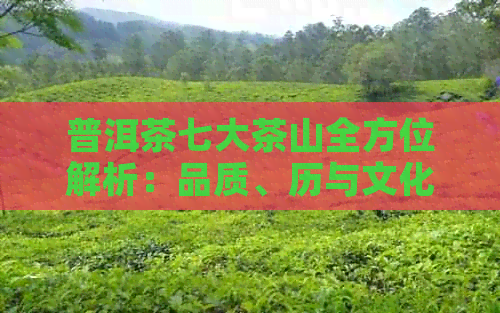 普洱茶七大茶山全方位解析：品质、历与文化一次看透