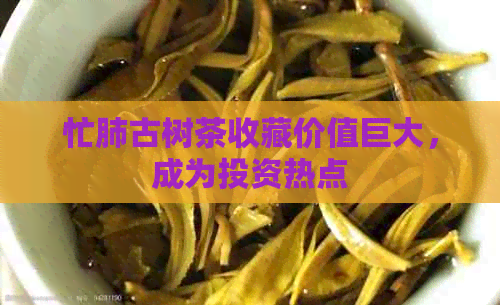 忙肺古树茶收藏价值巨大，成为投资热点