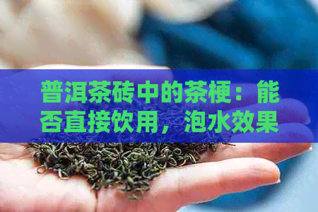 普洱茶砖中的茶梗：能否直接饮用，泡水效果如何？