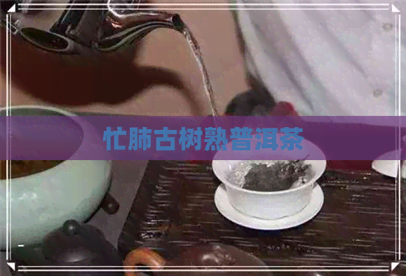 忙肺古树熟普洱茶